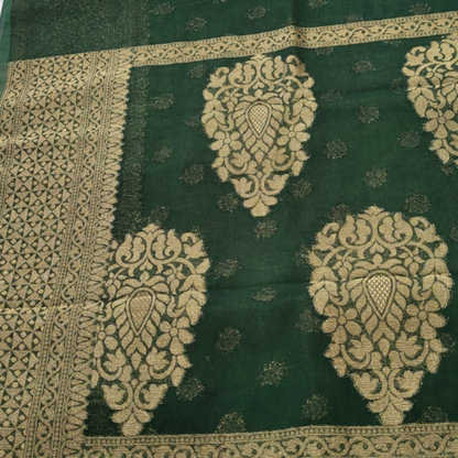 Banaras Georgette With Butis - ES109