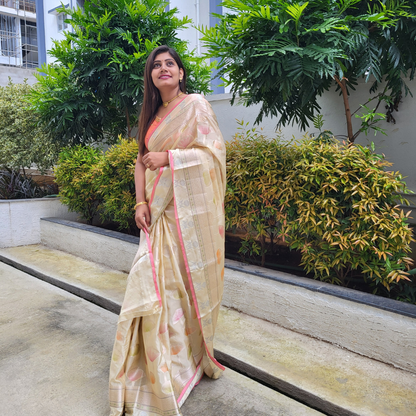 Banaras Organza Saree - ES112