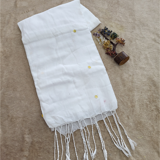 KHADI CHAMKI WHITE SAREE - ES401